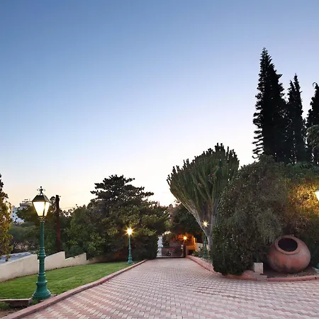 Appartamento Olive Tree