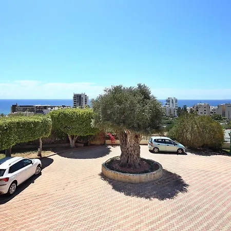 Apartament Olive Tree