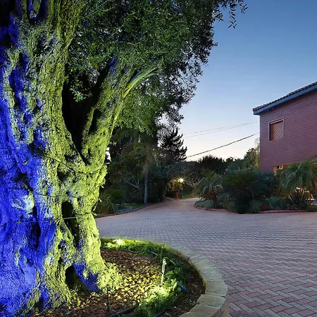 Apartmán Olive Tree Lemesos