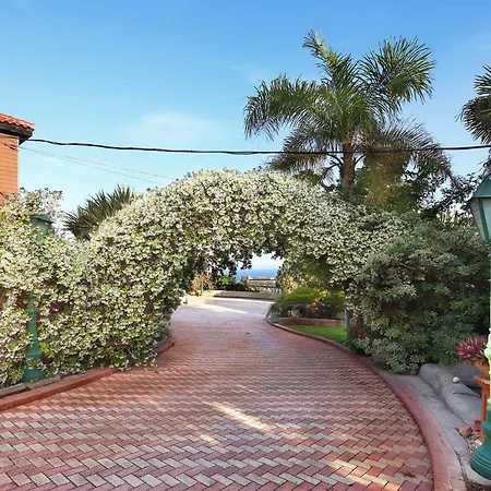 Olive Tree Apartment *