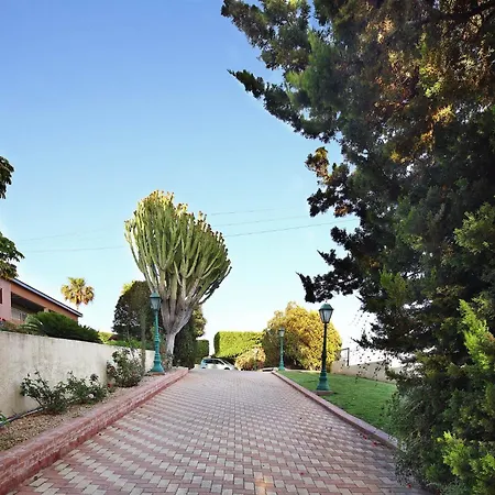 Apartament Olive Tree