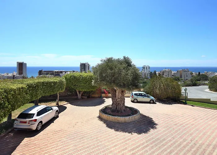 Apartmán Olive Tree