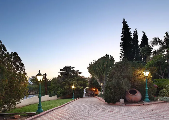 Apartmán Olive Tree