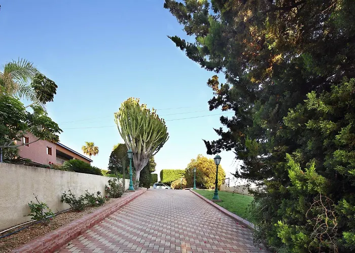 Διαμέρισμα Olive Tree