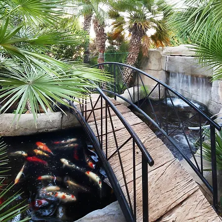 Olive Tree ليماسول